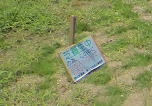 「芝養生中」看板の損傷の状況