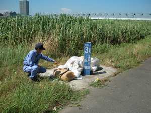 不法投棄されたゴミを確認している状況