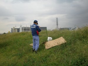不法投棄された一般ゴミを確認している状況