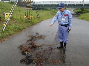 燃やされた刈草を確認している状況