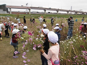 園児達が花摘みをしている状況