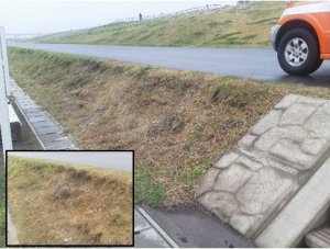 法面が損傷している様子