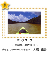 マングローブ　－沖縄県　慶佐次川－　茨城県　リリーベール小学校5年　大橋　奎吾