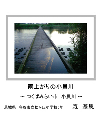 雨上がりの小貝川　－つくばみらい市　小貝川－　茨城県　守谷市立松ヶ丘小学校6年　森　基思