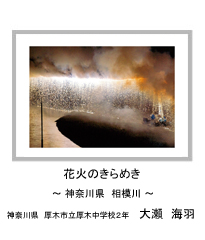 花火のきらめき　－神奈川県　相模川－　神奈川県　厚木市立厚木中学校2年　大瀬　海羽