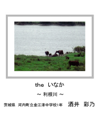 ｔｈｅ　いなか　－利根川－　茨城県　河内町立金江津中学校1年　酒井　彩乃