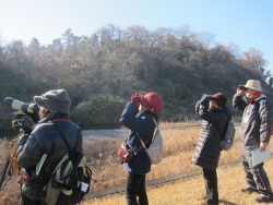 第43回多摩川流域セミナー（野鳥観察）