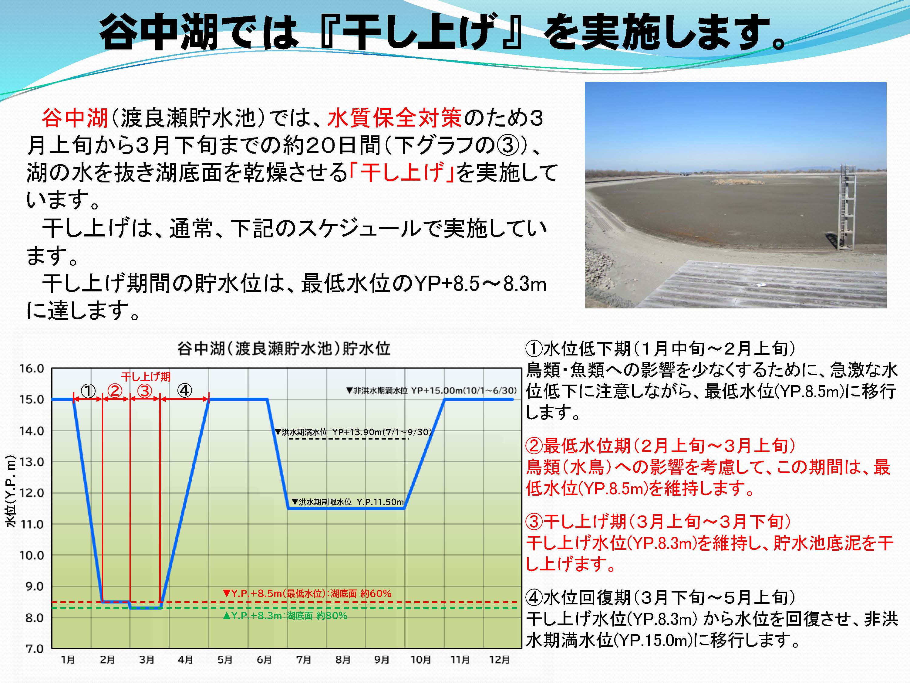 谷中湖では「干し上げ」を実施しています。