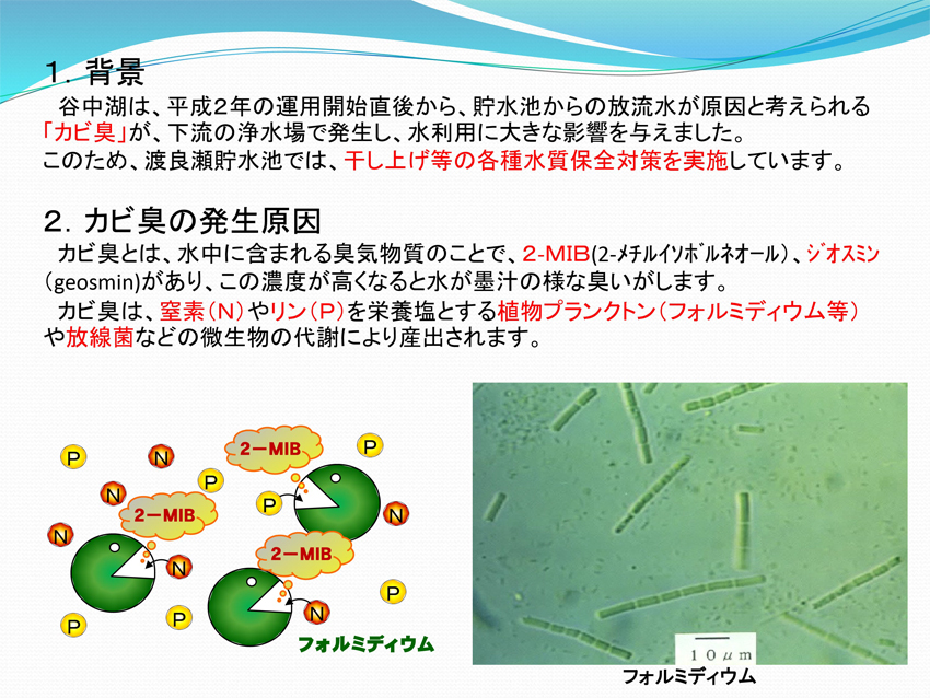 １．背景　２．カビ臭の発生原因