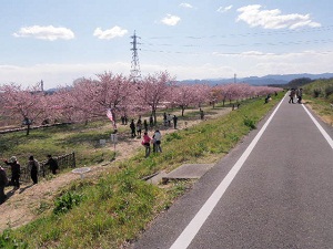 越辺川にある石今橋から越辺川大橋の間で開催されています。