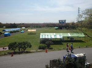 さいたま市桜草公園内でさくら草祭の準備が進められています。公園の先に見えるのは「さくらそう水門（鴨川の水を荒川に流す施設）」です。