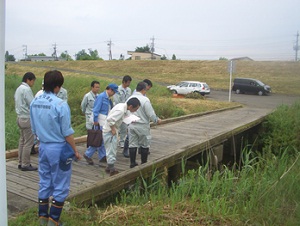 鎌取冠水橋です。珍しい木橋です。（川越市）
