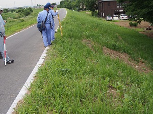 堤防のり面の状況を確認しています。