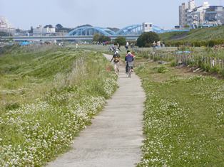 岸辺の散策路