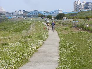 岸辺の散策路