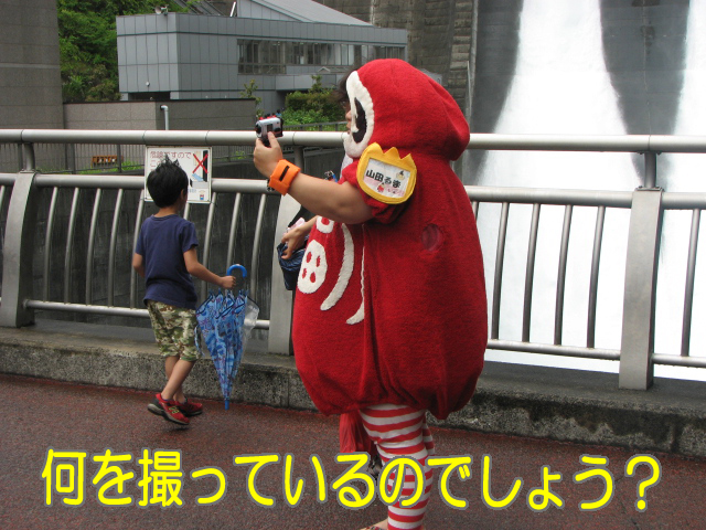 写真(4)