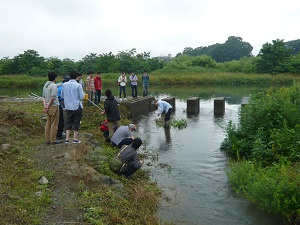 緩勾配魚道での流速測定が行われました。