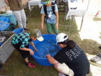 多摩川「ミニ水族館」