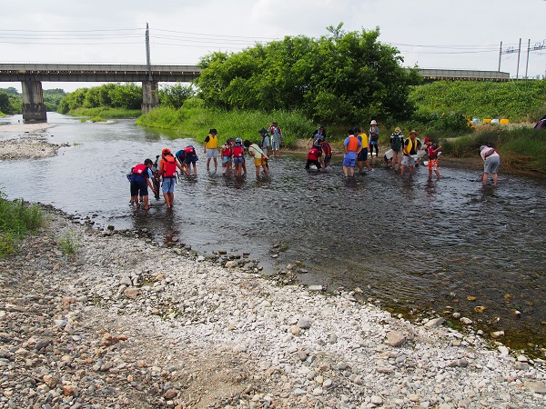 野本小学校が水生生物の採取を行いました【都幾川での様子】