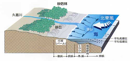 国営常陸海浜公園の砂丘