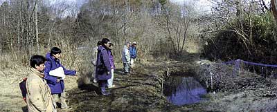 沢田湧水地および湿地の保全