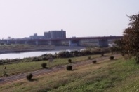 14.第三京浜多摩川橋