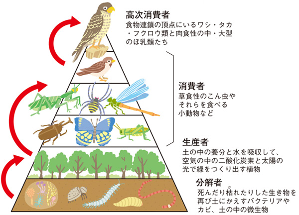 荒川のいきもの