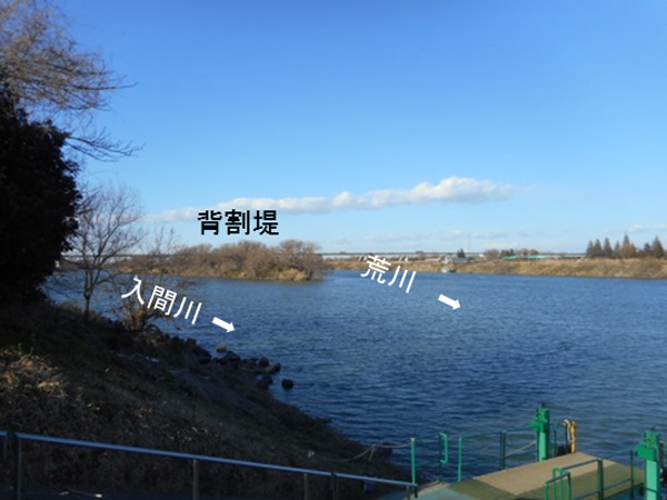 背割堤を右岸から望む（川越市）