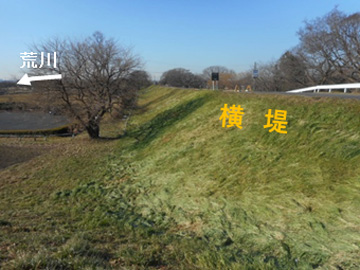 下から荒川方向に眺めたもの