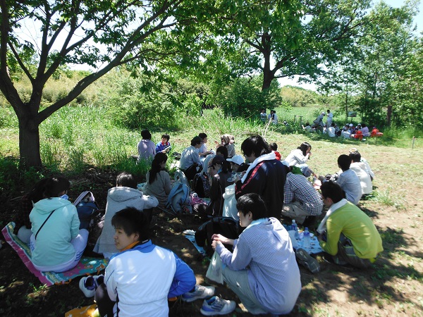 自然を感じながらお弁当