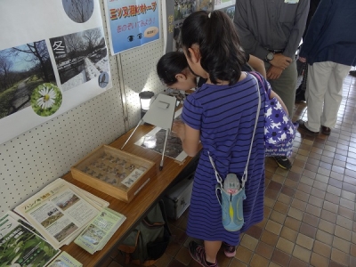 実体視鏡を覗き込む子供たち