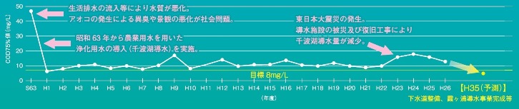 ■千波湖（中央）の水質経年変化