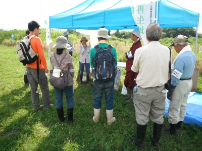 外来植物について学習しました。