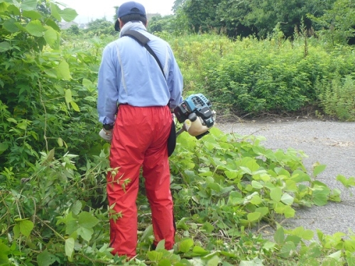 肩掛け式草刈り機などで草刈りを行いました