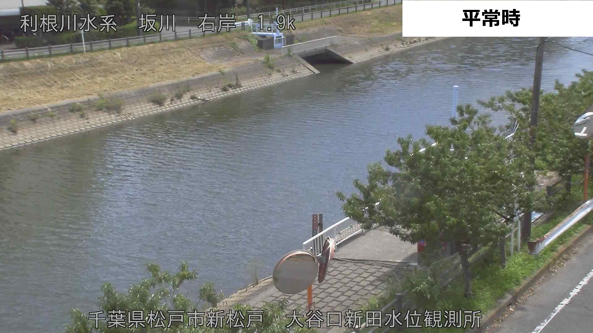 ライブ 江戸川