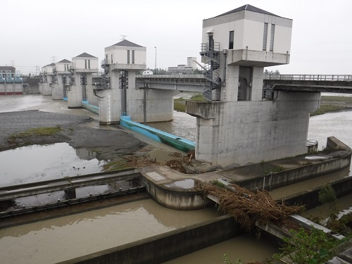 農場用水を取水するための六堰頭首工です。手前にある水路は国土交通省の事業で整備した流水改善水路と緩勾配魚道です。台風直後のため、流木が流れつくなどしていました。