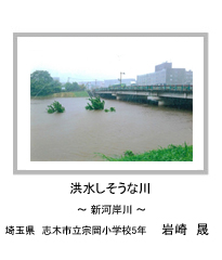 洪水しそうな川