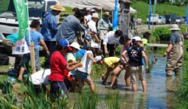 【活動紹介】モデル水田では田植え収穫や生きもの観察などがおこなわれています