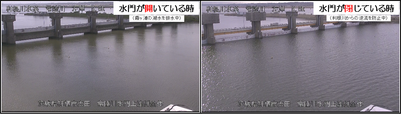 陸川水門の開閉状況