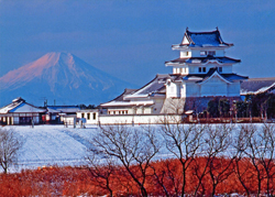 No.007 利根川境河岸付近堤防