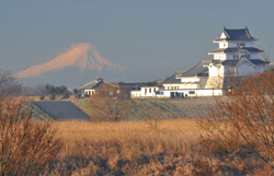 茨城県　江面様