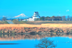 茨城県　江面様