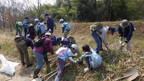 外来植物を抜いて、荒川の草花の植え付けやたねまきを行いました。