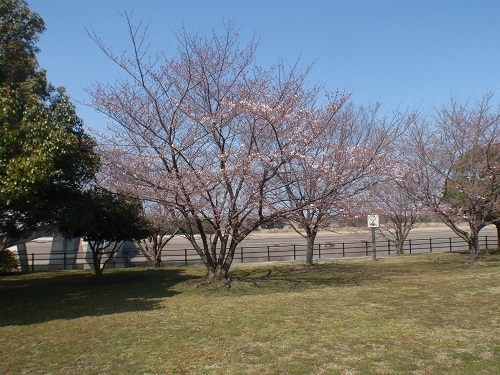 こちらは管理橋付近の様子です。