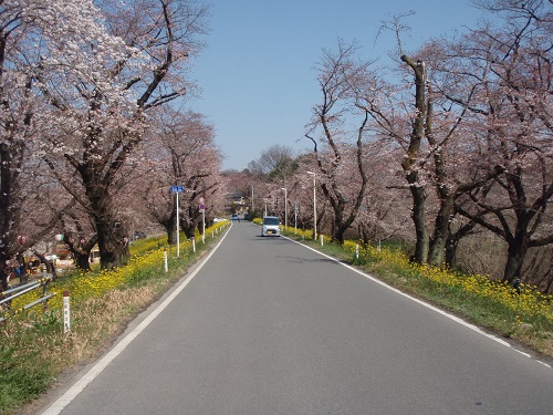 北本市石戸宿にある城ヶ谷堤の様子です。