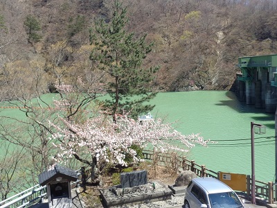 慰霊碑と桜