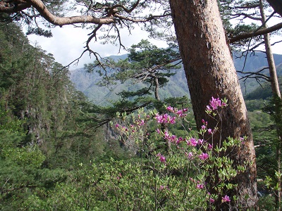 あずまやから日光連山方面