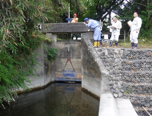 農業用水として河川から取水する施設(樋管)を点検しています。洪水時に川の水が宅地側に漏れないようゲートが閉まるか確認しました。