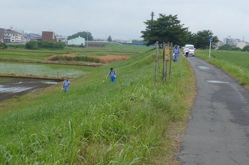 点検は、堤防の上（天端（てんば）といいます）から点検する職員、下から点検する職員、堤防の斜面を点検する職員に分かれて行います。