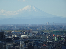 埼玉県　山元様